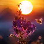 Purple Flowers in Bloom